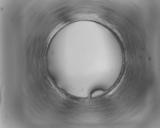 X0000073901529200609082135