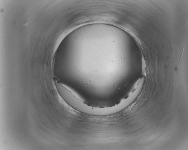 X0000073901532200609082135