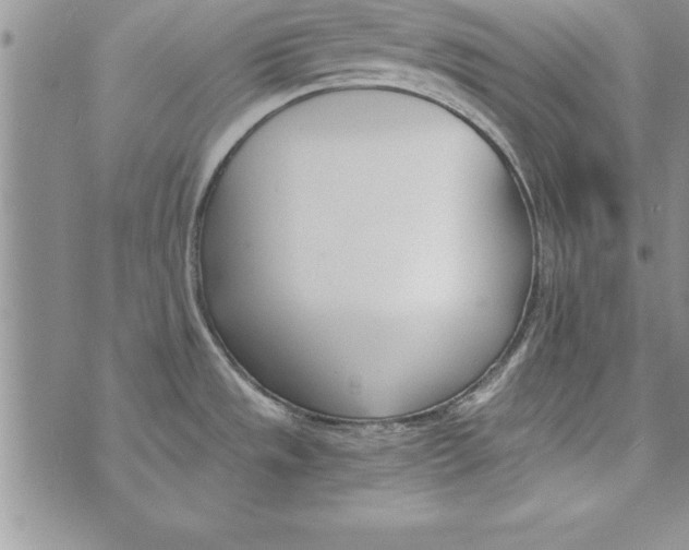 X0000073901533200609082135