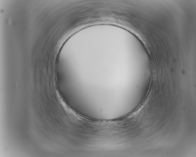 X0000073901534200609082135