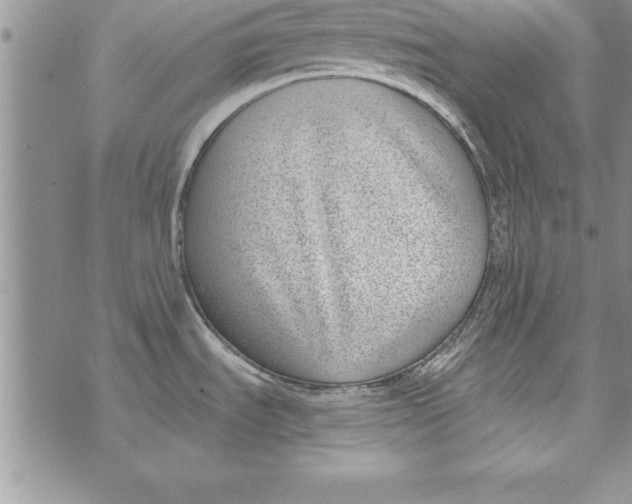 X0000073901535200609082135