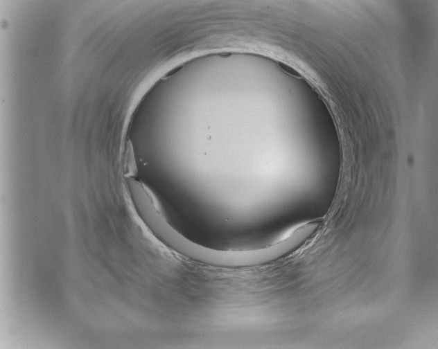 X0000073901536200609082135