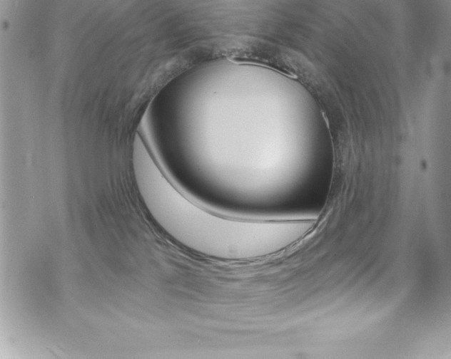 X0000073910041200608110951