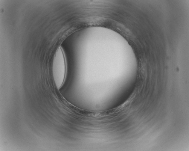 X0000073910074200608110950