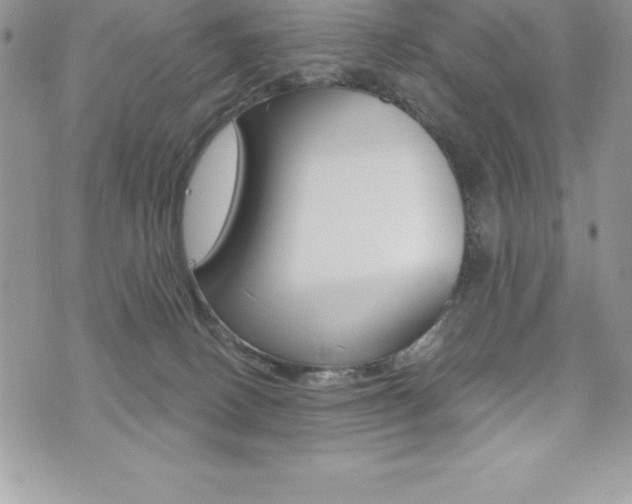 X0000073910082200608110951