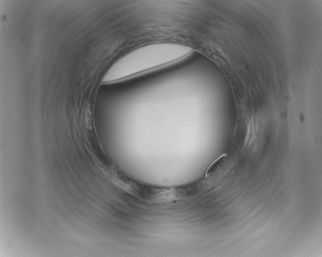 X0000073910083200608110951