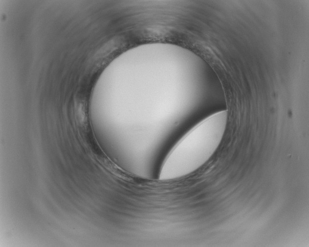 X0000073910131200608110949