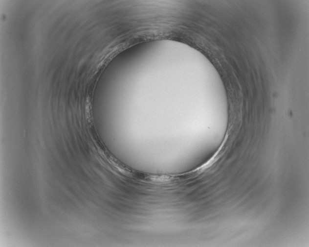 X0000073910144200608110949