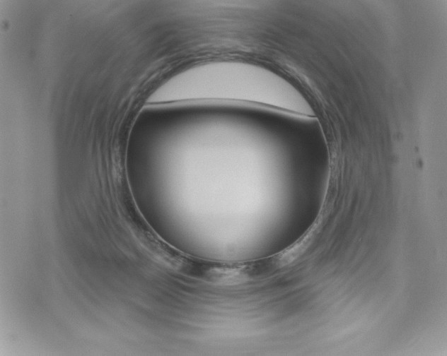 X0000073910170200608110949