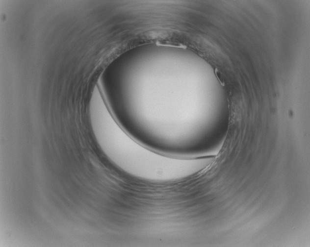 X0000073910176200608110949