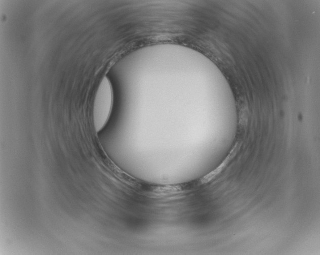 X0000073910179200608110949