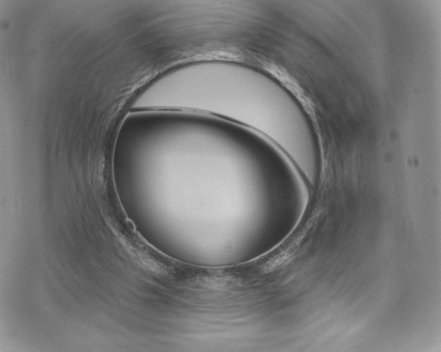 X0000073910201200608110948