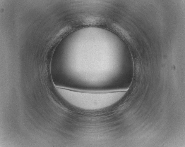 X0000073910211200608110948