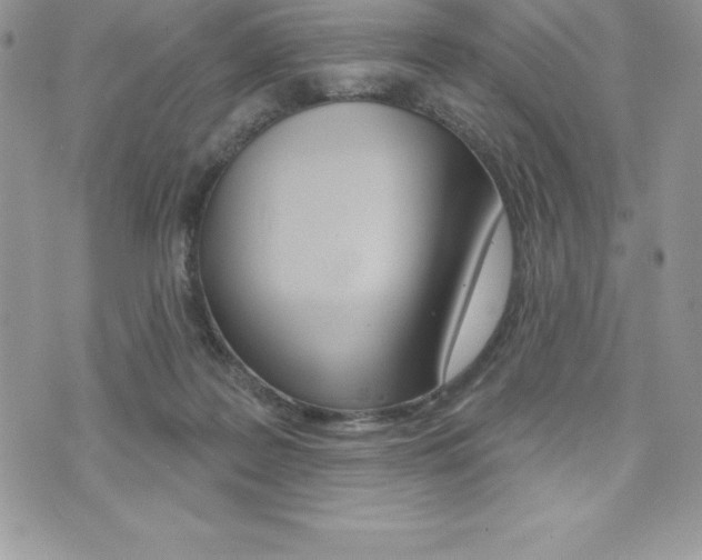 X0000073910219200608110948