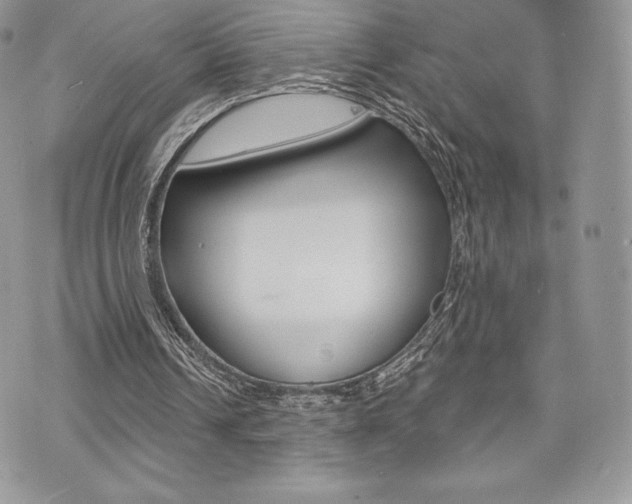X0000073910242200608110947