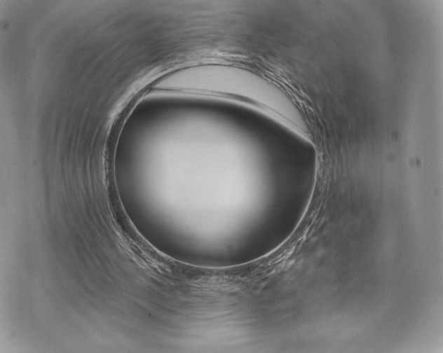 X0000073910244200608110947