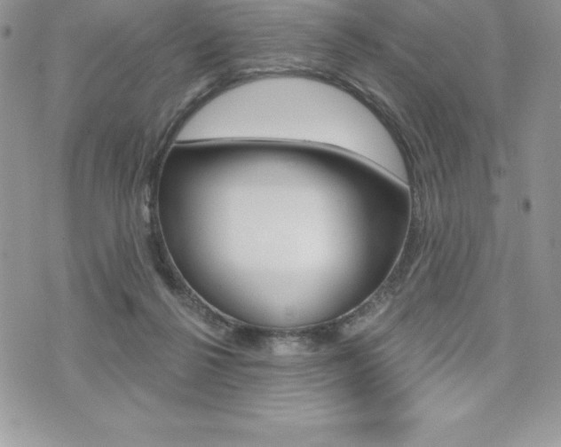 X0000073910264200608110947