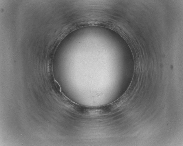 X0000073910268200608110947