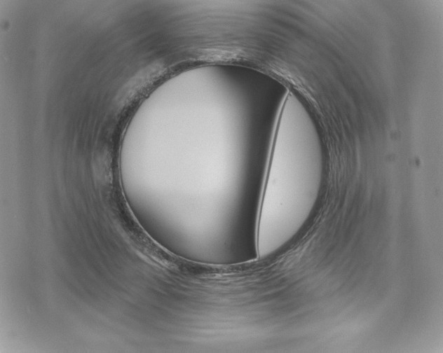 X0000073910303200608110947