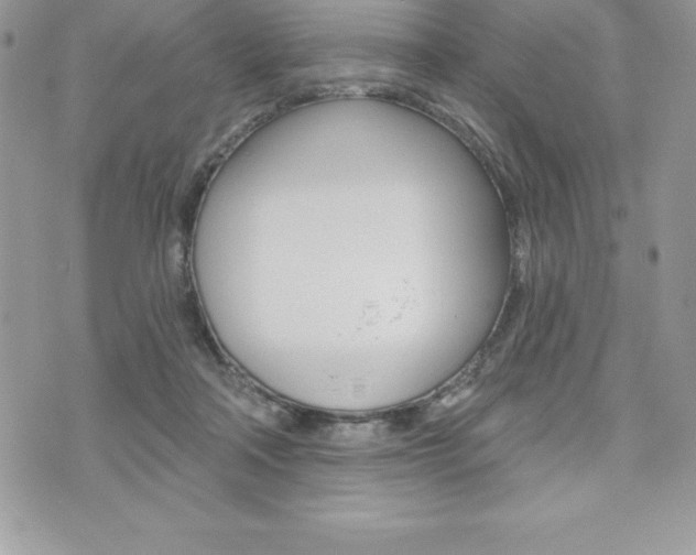 X0000073910314200608110946