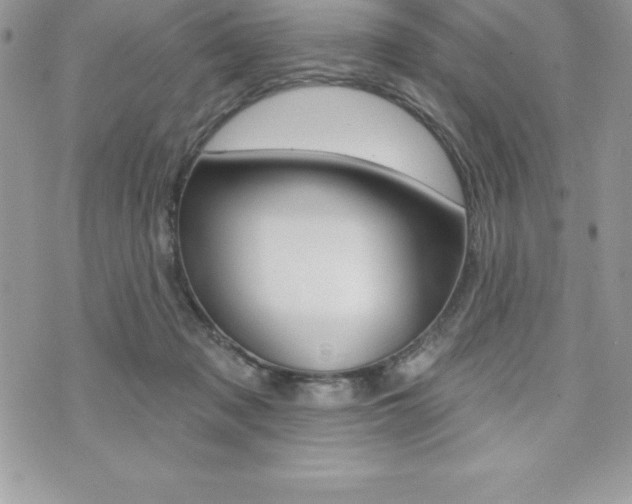 X0000073910317200608110946