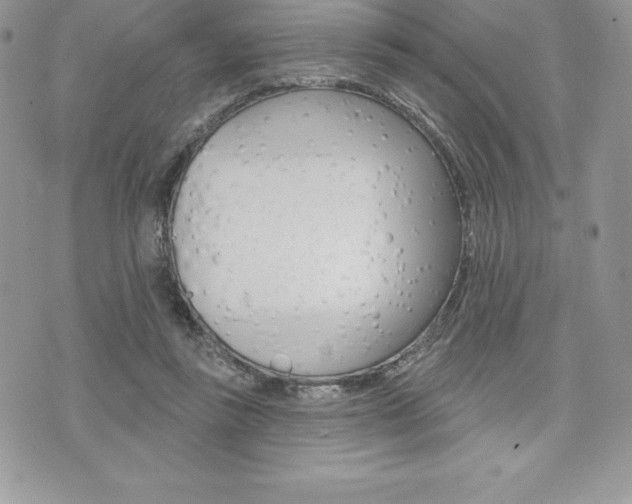 X0000073910355200608110946
