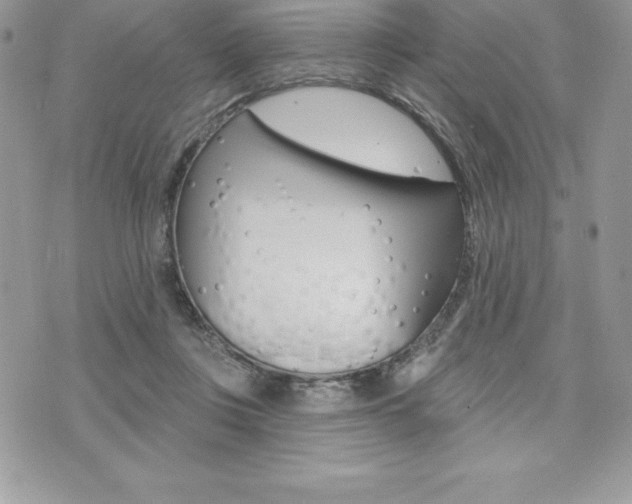 X0000073910359200608110946