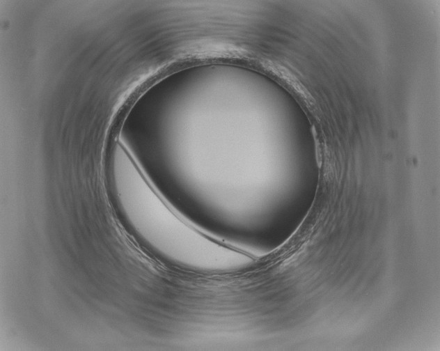 X0000073910391200608110945