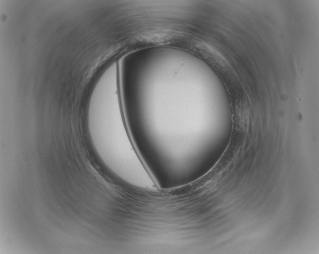X0000073910404200608110945