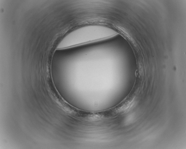 X0000073910453200608110944