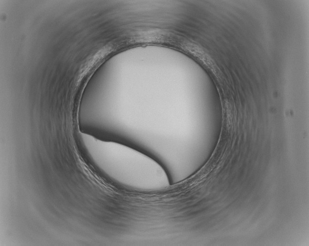 X0000073910482200608110944