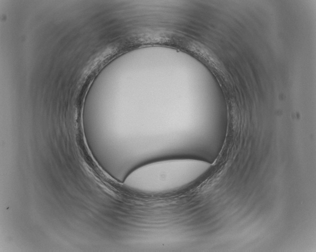 X0000073910490200608110944