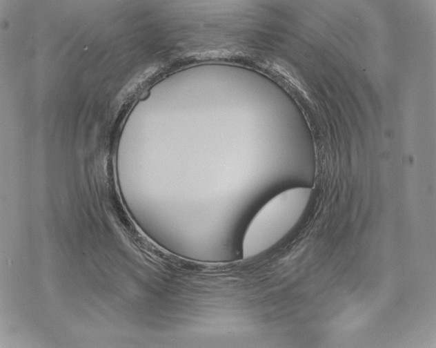 X0000073910491200608110944