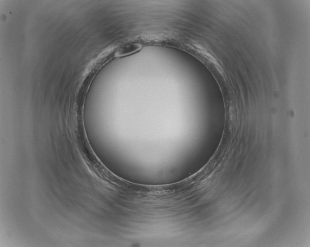 X0000073910492200608110944