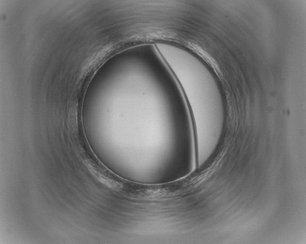 X0000073910493200608110944
