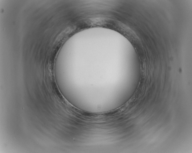 X0000073910506200608110943
