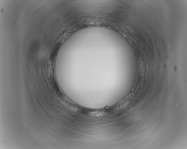 X0000073910511200608110943