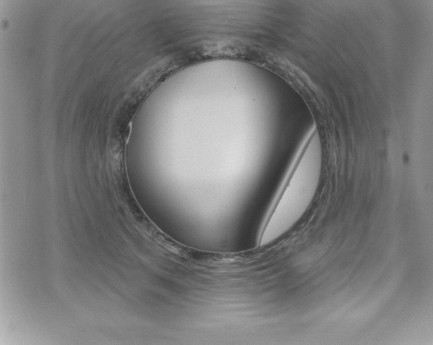 X0000073910513200608110943