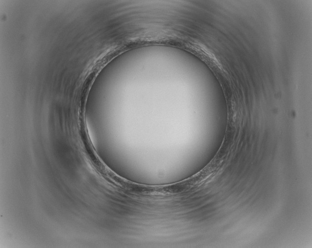 X0000073910542200608110942