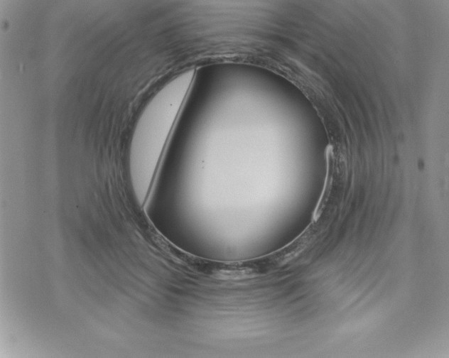 X0000073910556200608110943