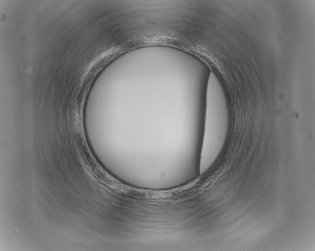 X0000073910587200608110942