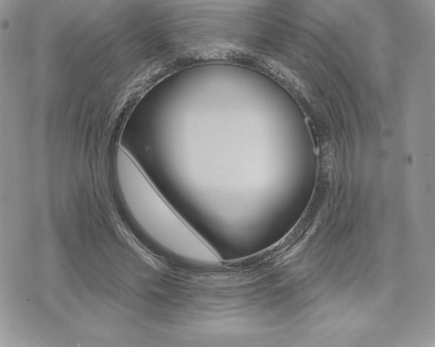 X0000073910589200608110942