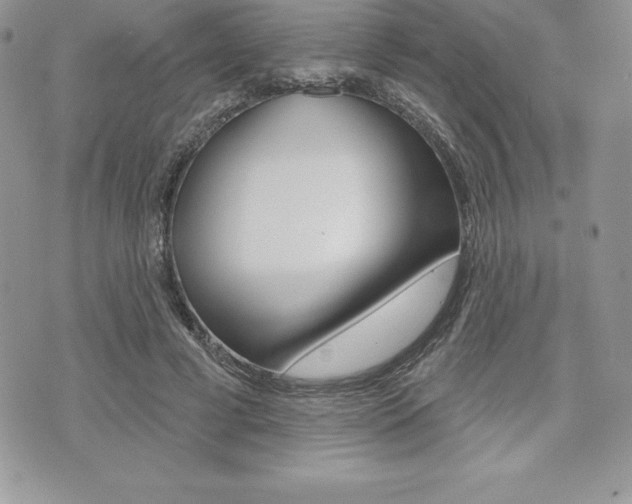 X0000073910593200608110942