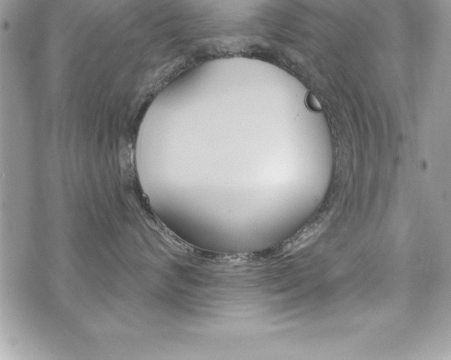 X0000073910624200608110941