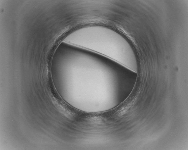 X0000073910637200608110941