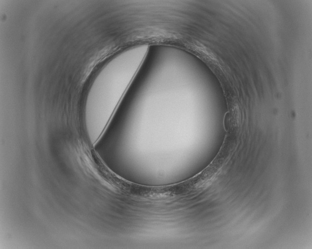 X0000073910638200608110941