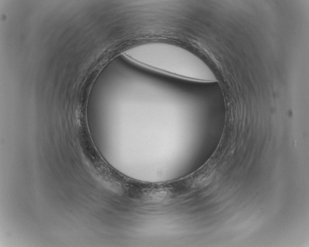 X0000073910643200608110941