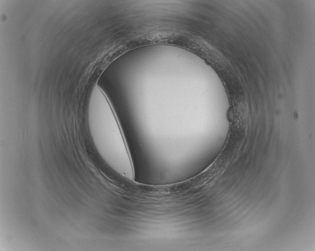X0000073910644200608110941