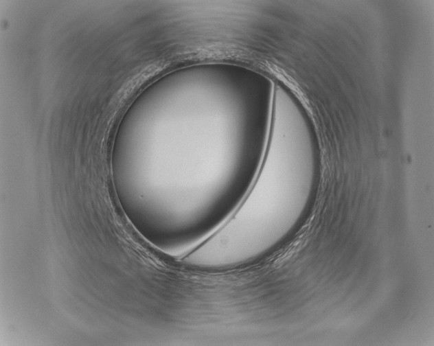 X0000073910673200608110941