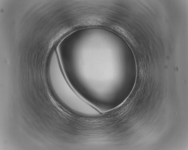 X0000073910677200608110941